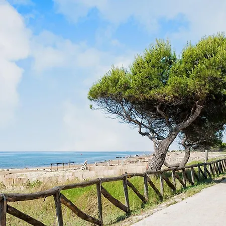 Perfect Flat For Six In Beachfront Complex Apartment